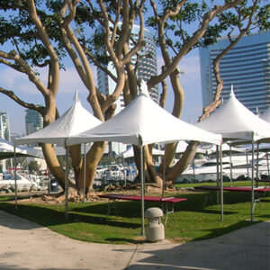 Tents & Canopies